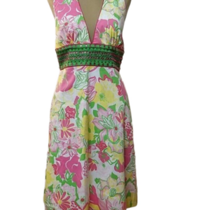 Ts Dixon haulter dress